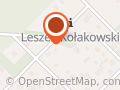 Lesiak-Węgrzecka Elżbieta, artysta plastyk