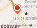 Mini Żuraw Wynajem z operatorem - KS System