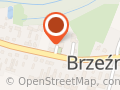OCHOTNICZA STRAŻ POŻARNA W BRZEŹNICY