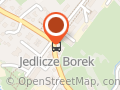 PZU Ubezpieczenia Jedlicze - Agent Jolanta Kicińska