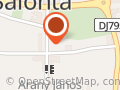 Statuia lui János Arany