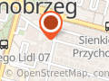 Ceglarz Eliza. Stacja Kontroli Pojazdów