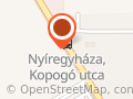Belgapázsit