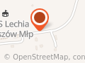 Lechia. Miejski Ludowy Klub Sportowy