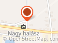 Benzinkút  Nagyhalász - Csernyik Pál