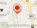 Lemon Shark Ireneusz Stadler