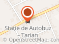 Mary pizza srl
