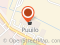Puuilo Pori