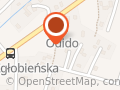 NEOFLEX Elżbieta Przyłucka