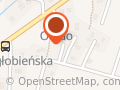 ElectroGM Elektronika Samochodowa Opel