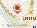 ICONART SRL