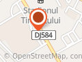 Timisul S.a