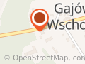 UROCZYSKO W GAJÓWCE Alfred Krasnodębski