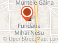 Ninurex Com SRL