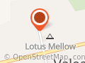 Lotus Mellow - Lounge & Camping