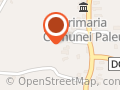 Centrul de Plasament pentru Copii cu Dizabilitati nr. 3 Oradea