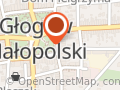 Ubezpieczenia Głogów Małopolski. Irena Romerowicz. Tłumaczenia Głogów Małopolski.