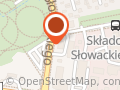 Nowoczesne strony internetowe SzamaniWp