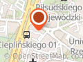 Lody "u Myszki"