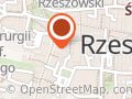 Świeża frytka