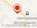 Pangps - Rzeszów - Monitoring GPS