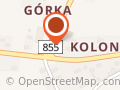 Groszek