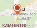 Auto-Miś