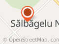 Salbagelul Nou