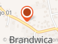 Gospodarstwo Rolne Brandwica, Sprzedaż kwiatów balkonowych-ogrodowych oraz bratków i chryzantem
