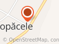 PRIMĂRIA COPĂCELE