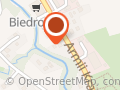 Biedronka