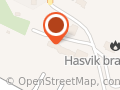 Hasvik Reiseservice AS