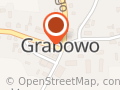 Sadzonki Roślin Ogrodowych