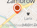 Bruliński Janusz. Zakład Mechaniki Pojazdowej