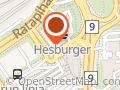 Hesepesu Oy