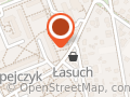 Zielony liść. OSK. Tyszko R.