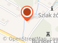 Ekspert Biuro Rzeczoznawstwa Techniki Samochodowej i Ruchu Drogowego mgr inż. G. Petryk