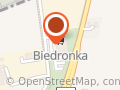 Biedronka