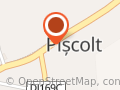 PRIMĂRIA PIŞCOLT