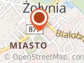 FURGONETKA PUNKT ZOŁYNIA