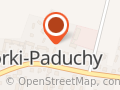 WÓJCIK MICHAŁ WÓJCIK