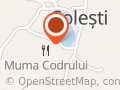 Carne bună din Coleşti