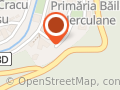 ARJOC ION PERSOANĂ FIZICĂ AUTORIZATĂ