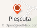 Primăria Pleşcuţa