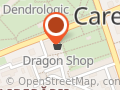 Dragon shop