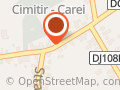 ZAHARUL CAREI SA