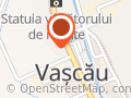 Primaria Orasului Vascau