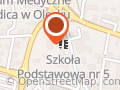 Niepubliczna Podstawowa Szkoła Sportowa W Olecku