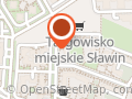 Wizaż Emilia Grzywacz