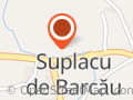 WELLNESS SUPLACU DE BARCAU